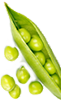 Food Img