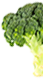 Food Img