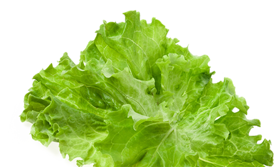 Food Img