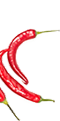 Food Img