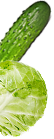 Food Img